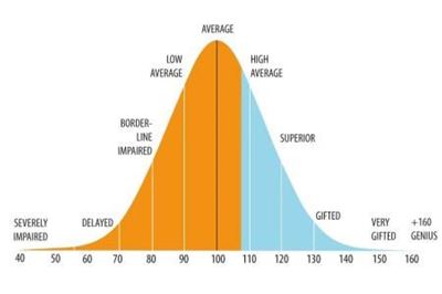 Understanding IQ Test Scores